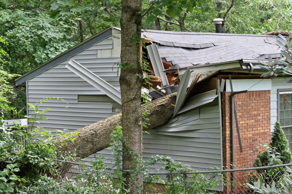 Home damaged by tree trunk from storm